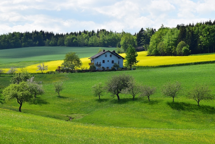 A farmhouse in a field